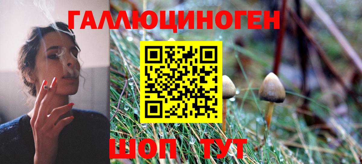Галлюциногенные грибы прущие грибы  цена наркотик  Воронеж  Вход с VPN 